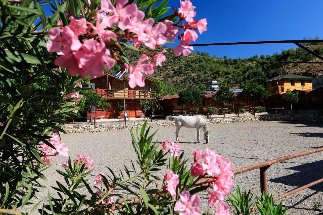 Oranj Ranch Hotel เกเมร์ ภายนอก รูปภาพ