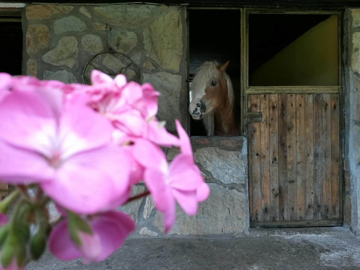 Oranj Ranch Hotel เกเมร์ ภายนอก รูปภาพ