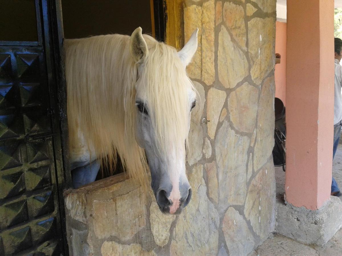 Oranj Ranch Hotel เกเมร์ ภายนอก รูปภาพ